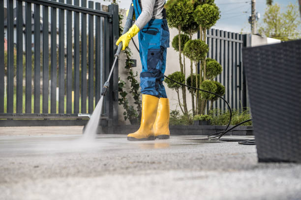 Best Sidewalk and Walkway Cleaning  in Madisonville, LA